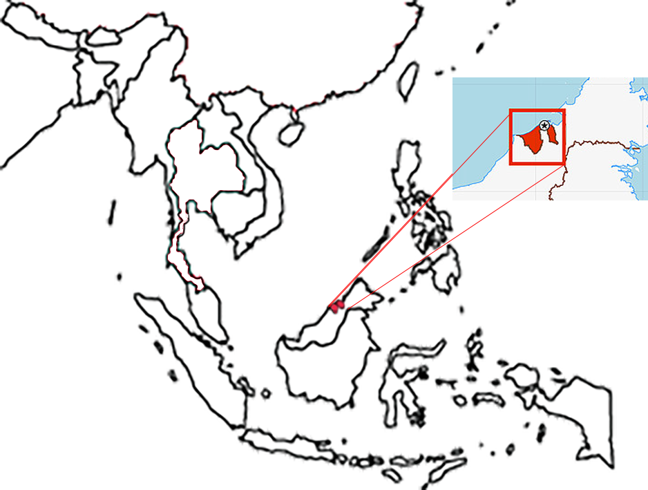 Location of Brunei in South Asia.
