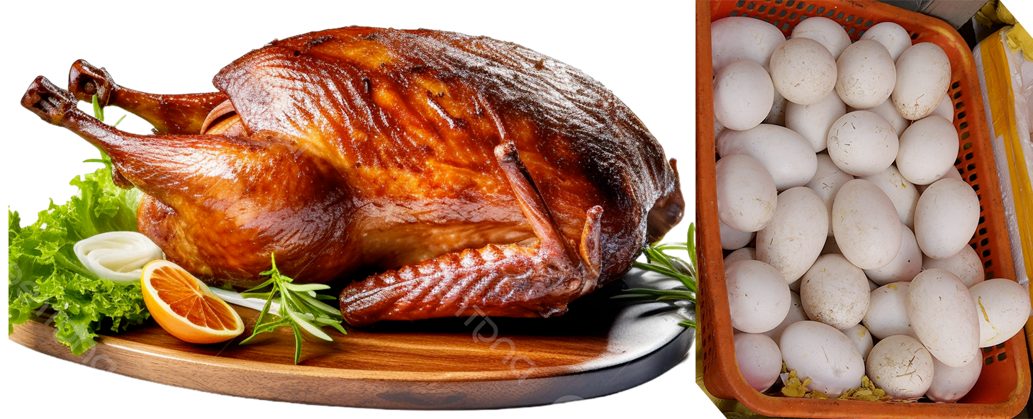 cooked goose and goose eggs