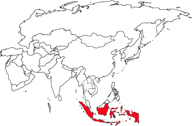image of Indonesia, in relation to Asia