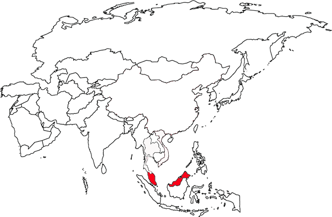 image of Malaysia, in relation to the Southeast Asia with Malaysia in Red