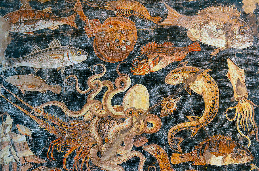 Ancient roman mosaic showing seafood
