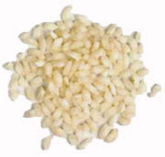 Grains of arborio rice