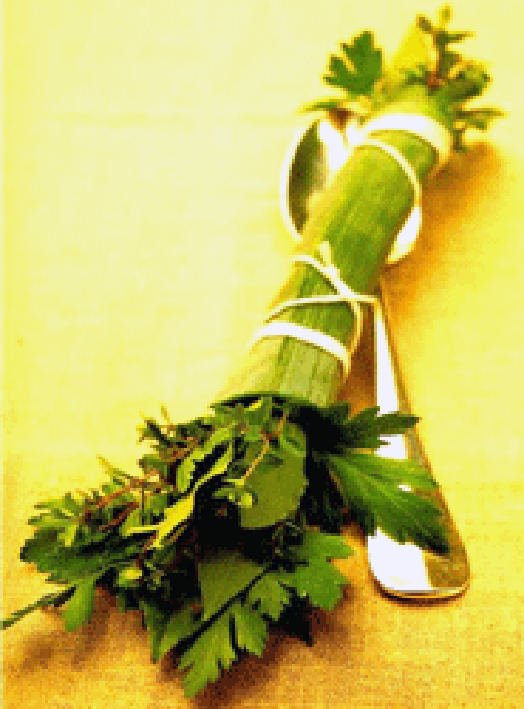 Bouquet-garni, bundle of herbs wrapped in a leek leaf
