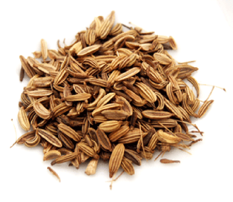 Pile of fennel seeds