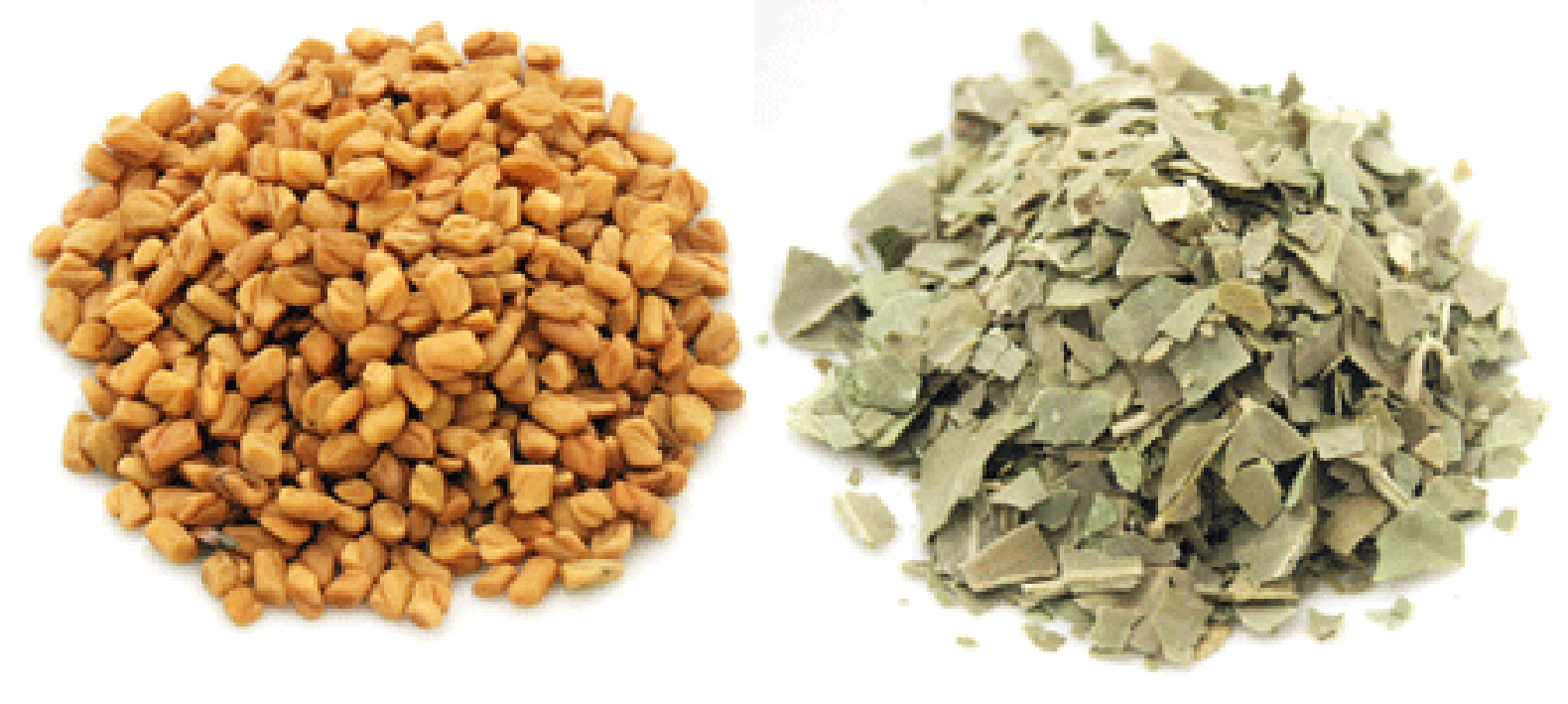 Pile of fenugreek seeds and dried leaves