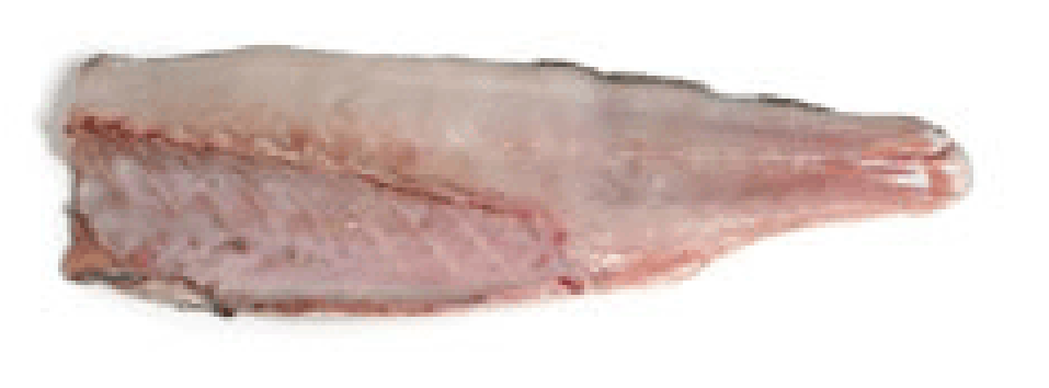 Fillet of mackerel