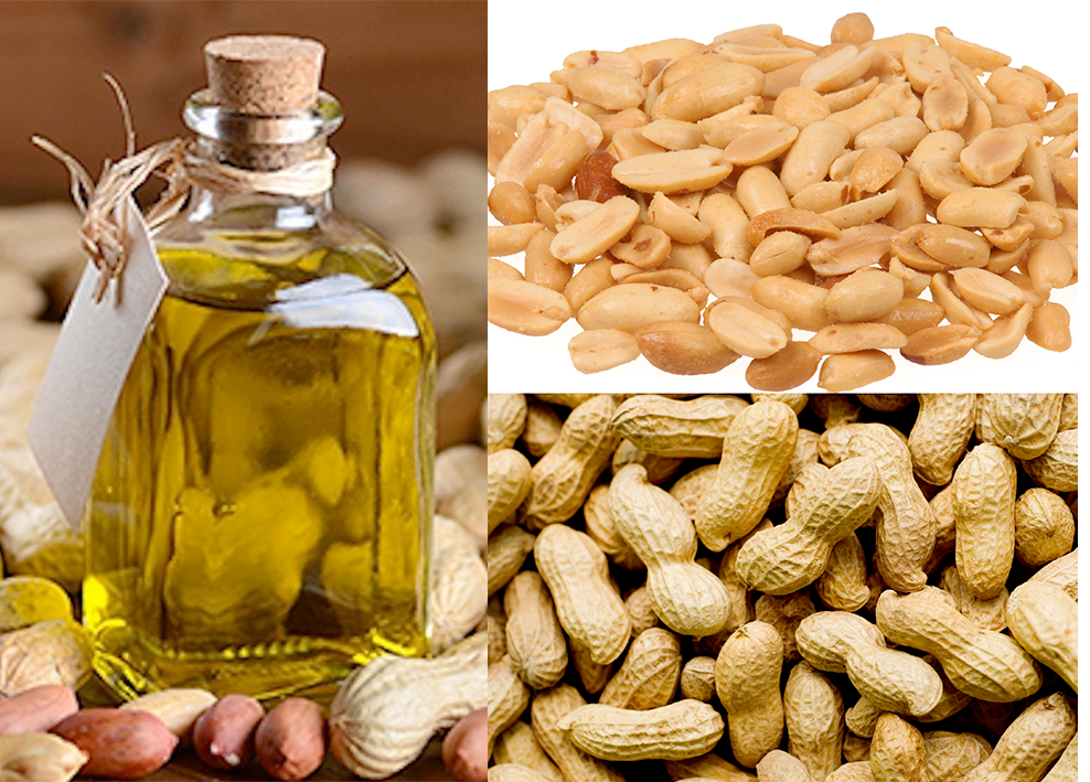 Groundnut oil shown with peanuts in their shell and shelled peanuts