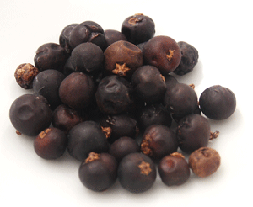 Pile of juniper berries