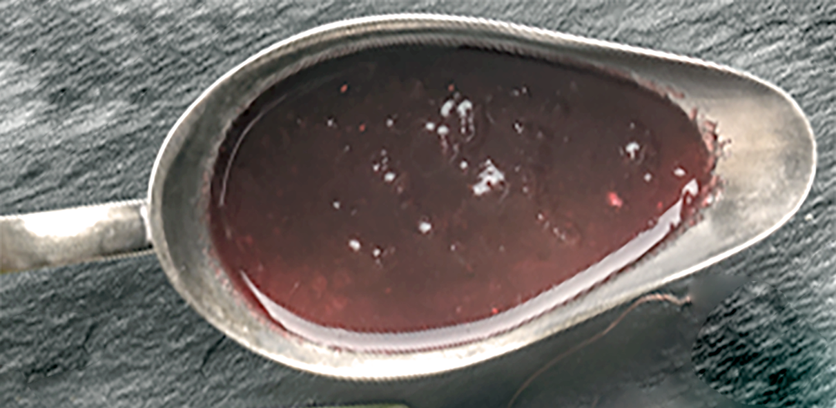 Lyonnaise sauce served in a gravy boat