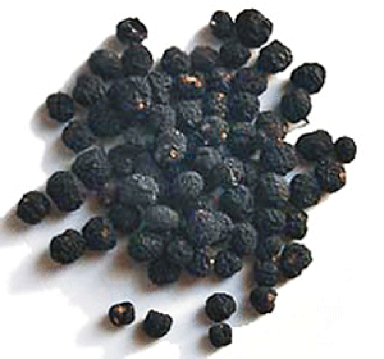 Dried Tasmanian pepper berries