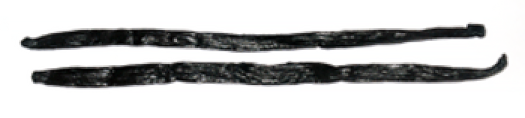 Two vanilla pods