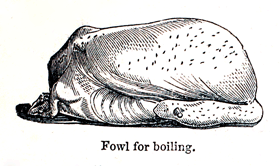 Eliza Acton Boiled Fowl
