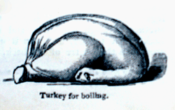Eliza Acton Boiling Turkey