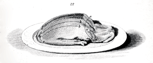 Eliza Acton Carving an Duck