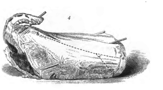 Eliza Acton Carving a Saddle of Mutton