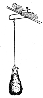 Alexis Soyer Chimney Screw-jack