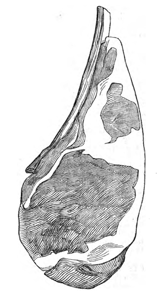 Image of Soyer's mutton cutlets