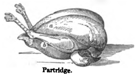 Eliza Acton Trussed Partridge