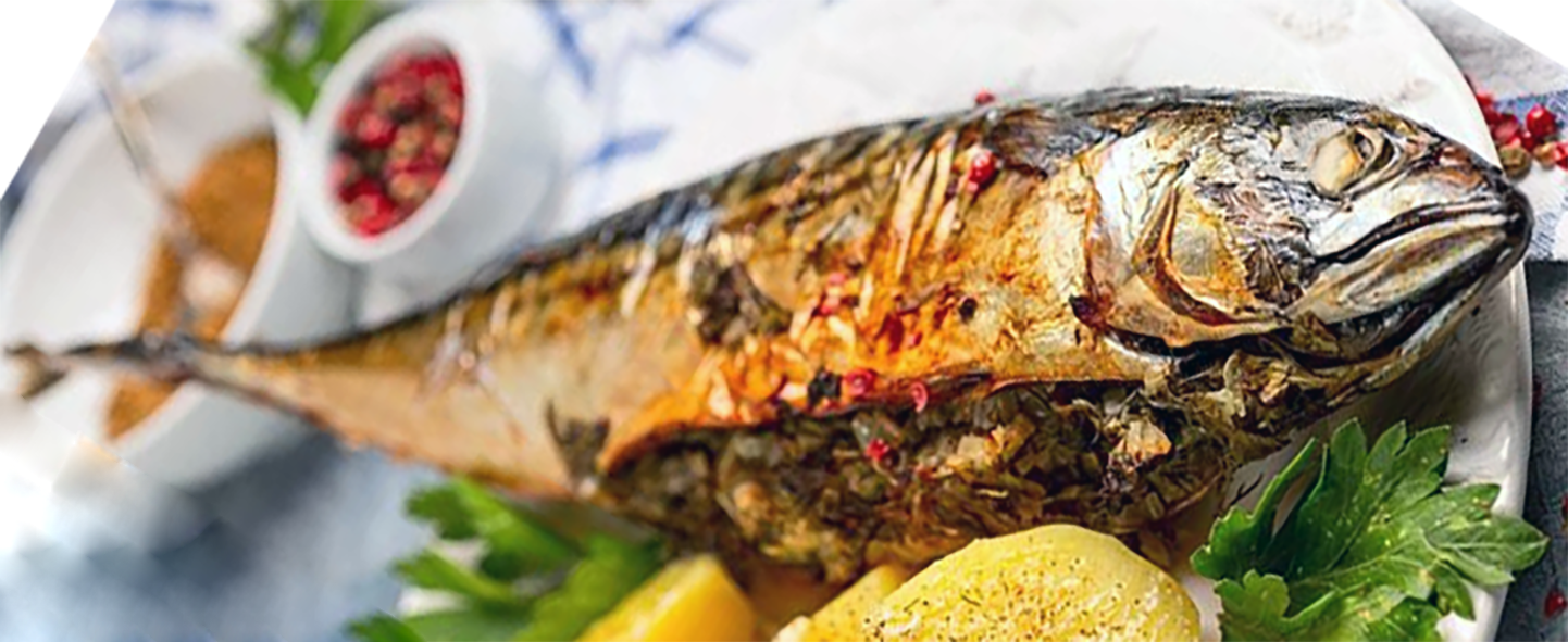 baked mackerel with forcemeat stuffing