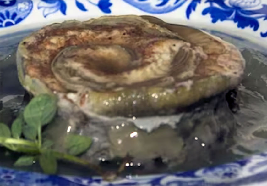collared eel on a plate with a sprig of watercress