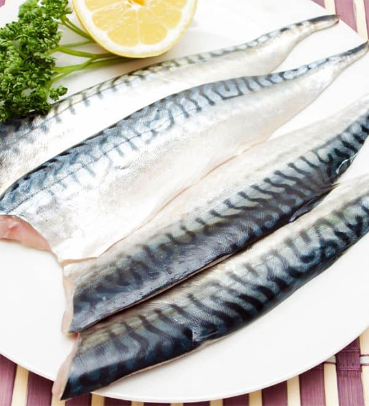 four mackerel fillets arranged on a plate