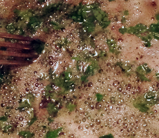 butter and parsley sauce for use as a caper sauce alternative