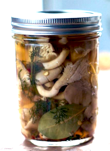 mixed brined mushrooms in a jar
