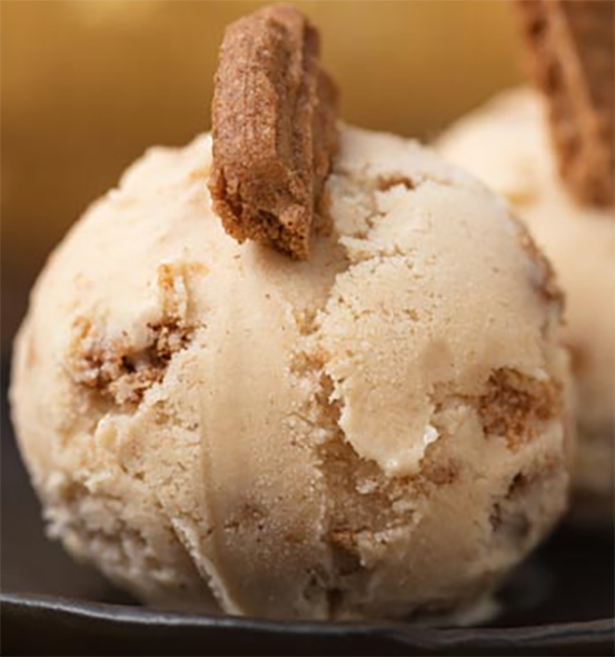 ball of biscuit ice cream topped with a biscuit on a plate