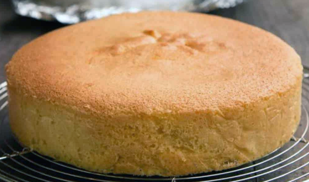 plain sponge cake on a wire cooling rack