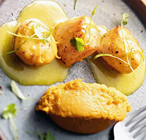 scallops in coconut milk served with mashed sweet potatoes
