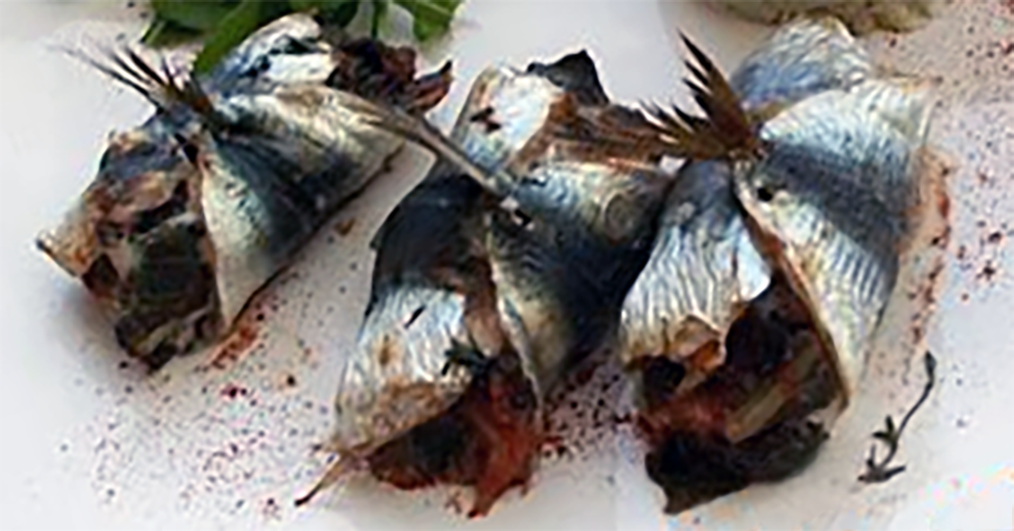 rolled sardines stuffed with chard and mussels on a plate