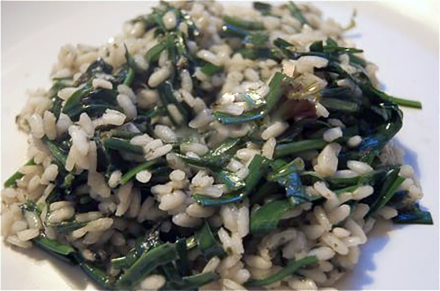 sea plantain and arborio rice risotto on a plate