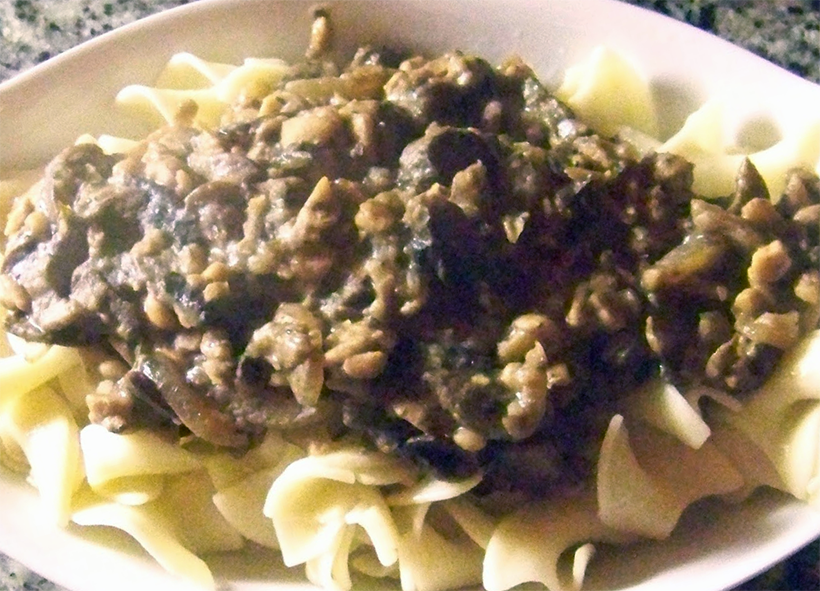 tempeh and mushroom stroganoff served on a bed of noodles