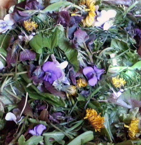 Wild spring salad of mixed wild greens and flowers mixed in a bowl</a>