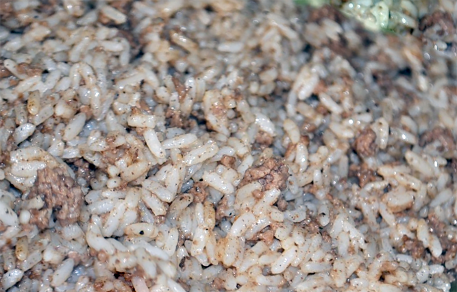 Hashwe rice and meat vegetable stuffing mixture