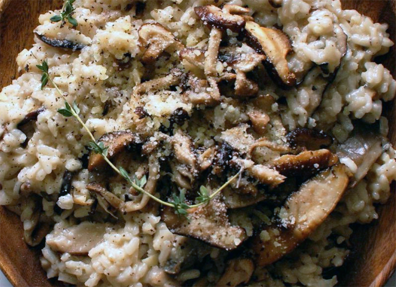 risotto with wild mushrooms in a bowl garnished with a sprig of thyme
