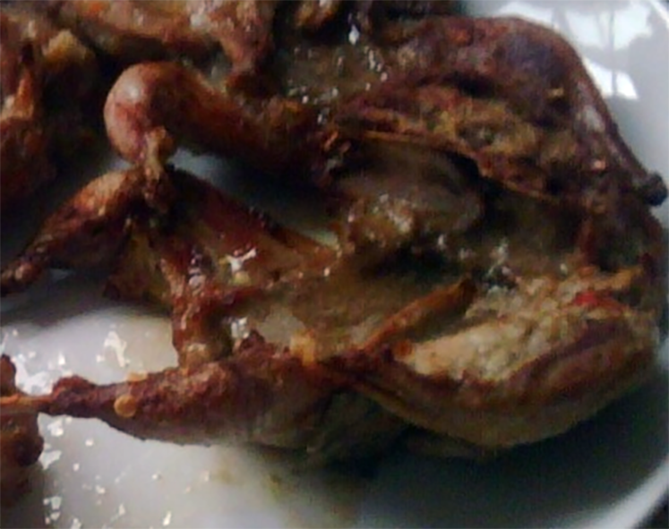 barbecued quail with ginger and chilli marinade on a white plate