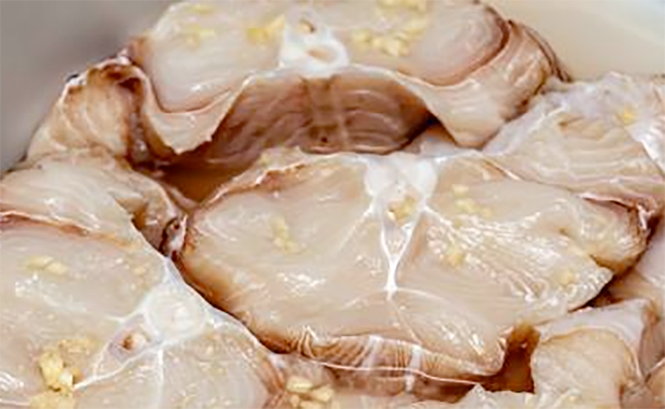 dogfish steaks ready for frying