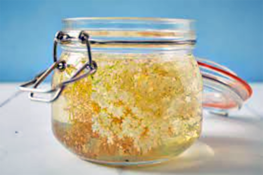 elderflowers infusing cider vinegar in a clip-top jar