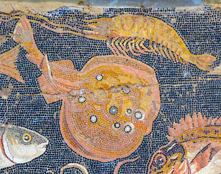 electric ray from a Roman mural