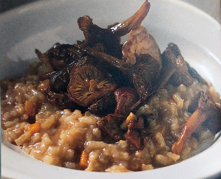 foragers risotto of wild mushrooms cooked with rice served in a bowl with a topping of wild mushrooms