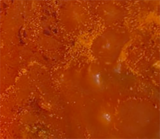 close-up of simmering stragotto sauce