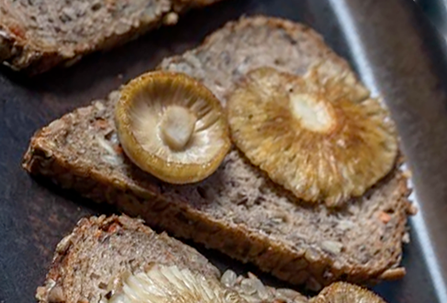 two fried charcoal burner mushrooms on a triangle of black bread