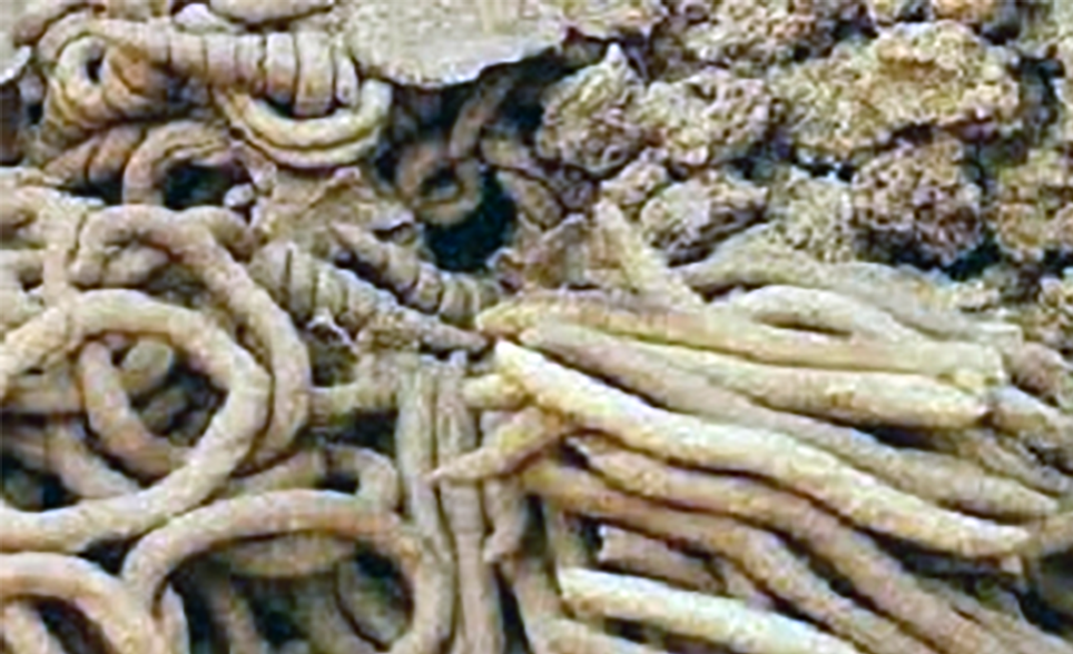 different shapes of julikuli on a market stall