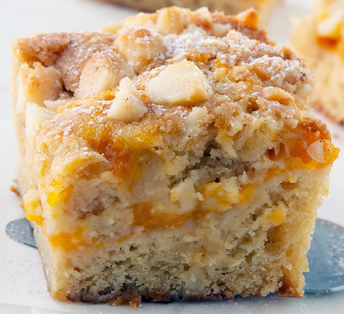 ginger, macadamia and apricot slice on a silver cake slice