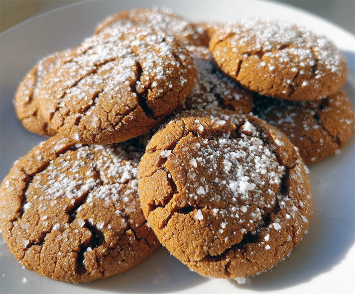 gingerbread cookies dusted with powdered sugar presented on a plate