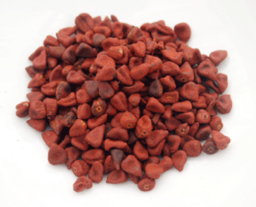 Pile of annatto seeds