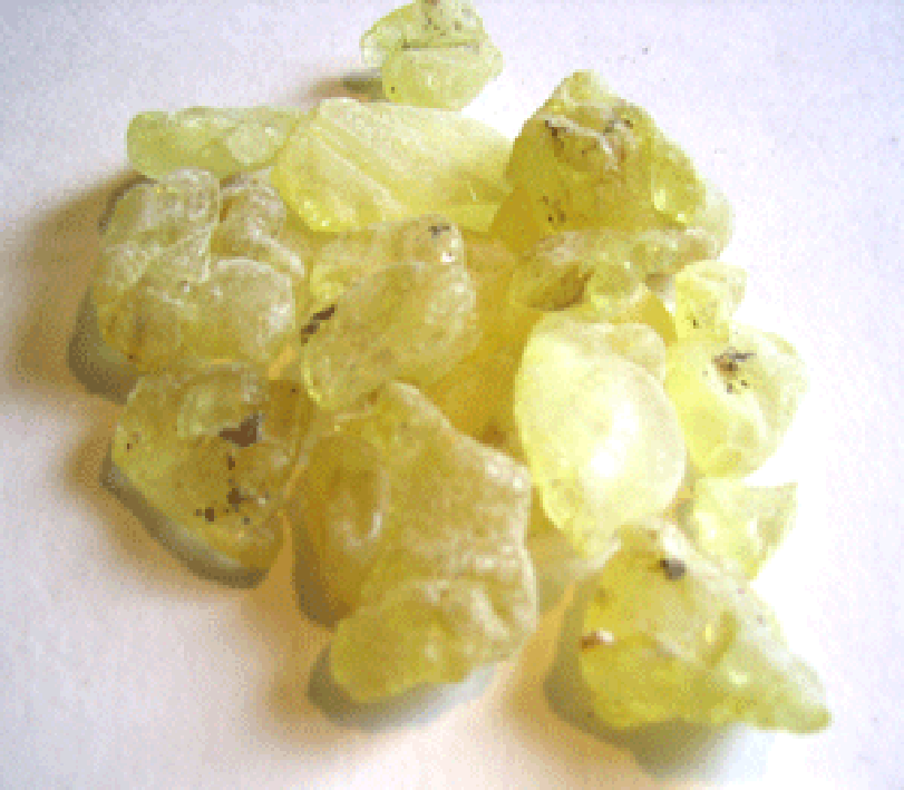 Pieces of dried mastic