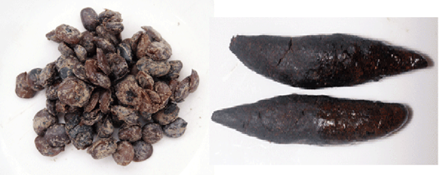 seeds and shaped njangsa paste