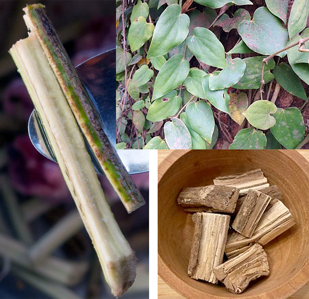 Fresh bark, climbing vine and dried chips of Lao chilli wood